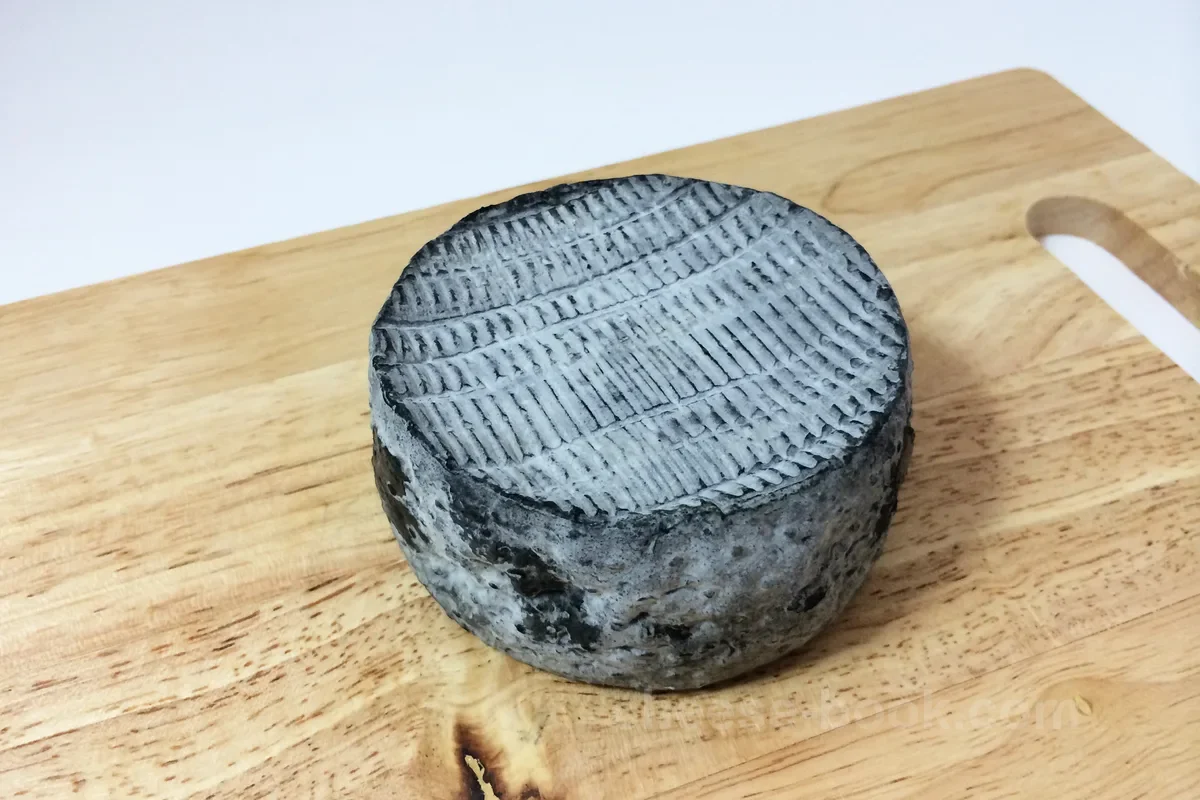 ブルー・サンドレ・シェーブル