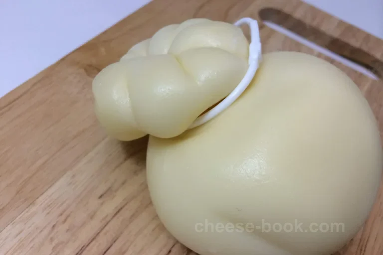 表皮