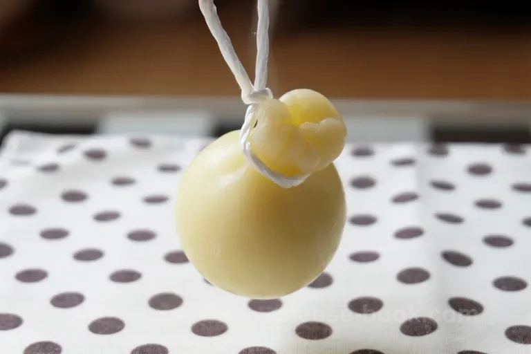 Caciocavallo 外観