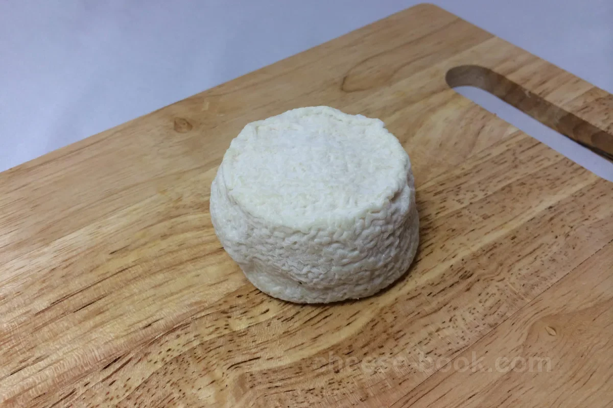 クロタン・ド・シャヴィニョール