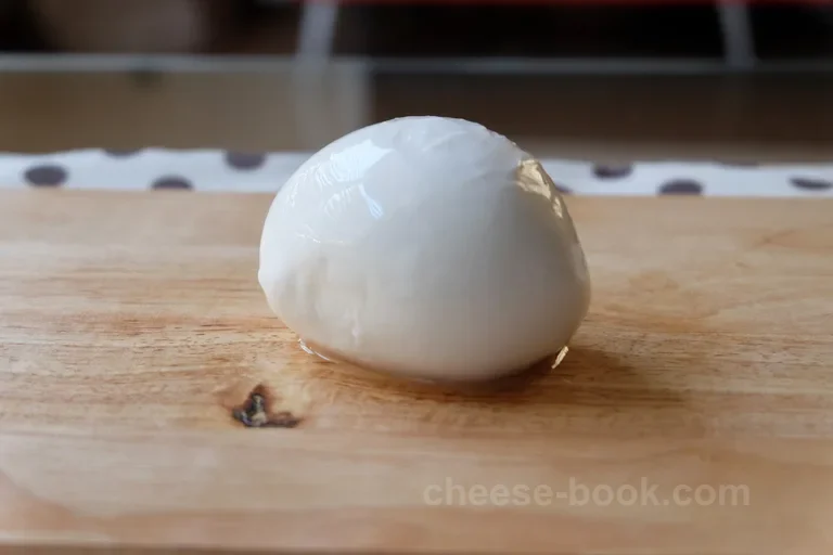 Mozzarella 外観