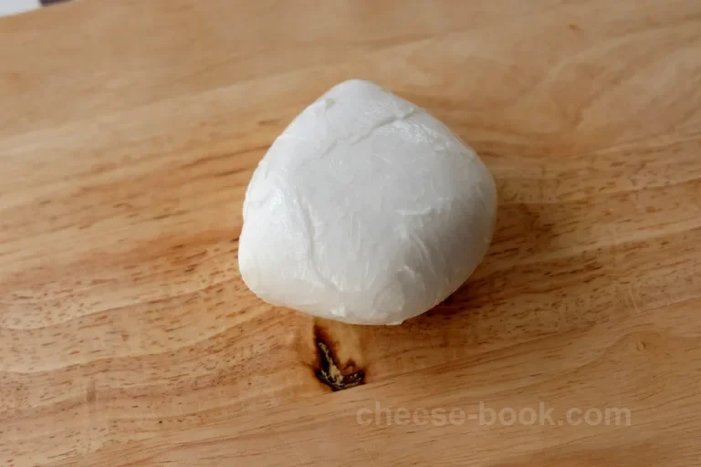 Mozzarella 外観