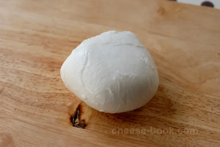 外皮