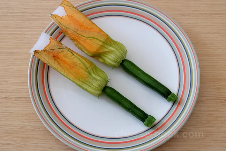 ズッキーニ俯瞰