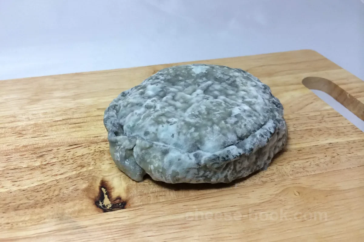 セル・シュール・シェール