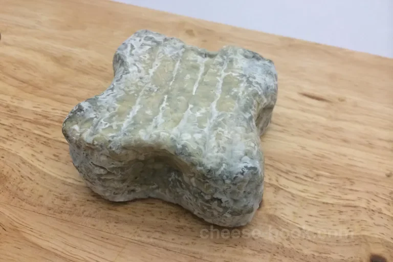 表皮